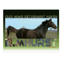 Elmhurst - '97 Breeders' Cup Sprint Winner postcards