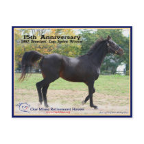Elmhurst - '97 Breeders' Cup Winner Post Card