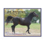 Elmhurst - '97 Breeders' Cup Winner Post Card