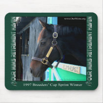 Elmhurst at OMRH Mouse Pads