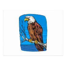 Elonzo Eagle Postcard