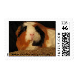 Elsie Postage Stamps