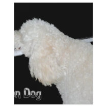 Elton Dog Flyers