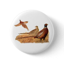 Elusive Pheasant Bird Hunting Pinback Buttons