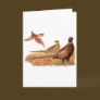 Elusive Pheasant Bird Hunting