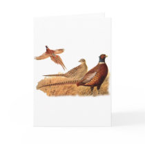 Elusive Pheasant Bird Hunting Card