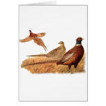 Elusive Pheasant Bird Hunting Card