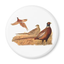 Elusive Pheasant Bird Hunting Fridge Magnets