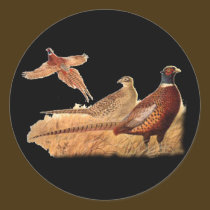 Elusive Pheasant Bird Hunting stickers