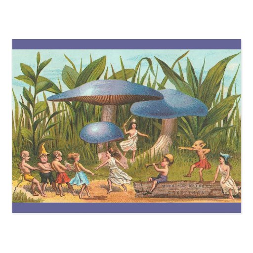 Elves and Fairies in Mushroom Land Postcard