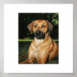 Elvis Rough Pastels Print