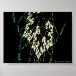 elvish script posters