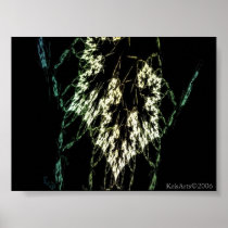 elvish script posters
