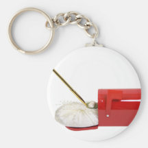 Email071009 Key Chains