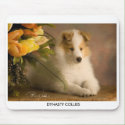 emailcash1217a_5C, DYNASTY COLLIES mousepads