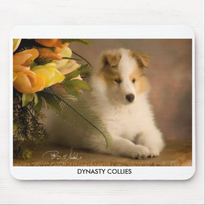 emailcash1217a_5C, DYNASTY COLLIES Mouse Mat by lorik67