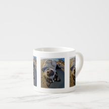 Embarrassing Moment Espresso Cups