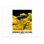 Embrace Bee Culture (Bee On Barberry Flower) Postcards