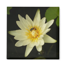 Embrace magnets by Heartworks Embrace magnets