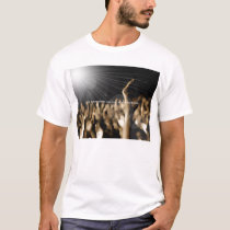 embrace praise. t-shirts by embraceclothing embrace praise. t-shirts