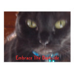 Embrace The Darkside Postcards