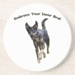 Embrace Your Inner Brat Catahoula Dog Coaster