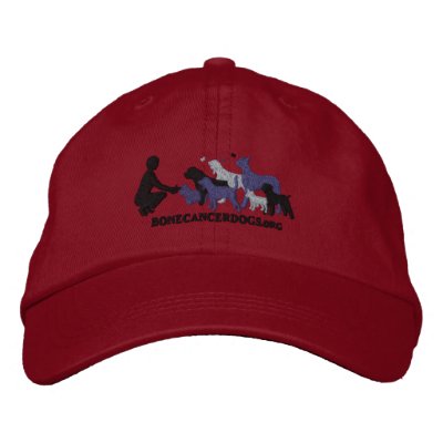 Embroidered Grey Logo Cap Embroidered Hat by BoneCancerDogs
