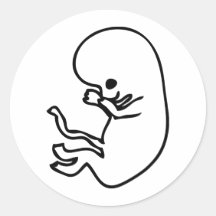 embryo icon round stickers
