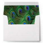 Emerald Green Royal Blue Peacock Feathers Wedding Envelope