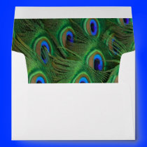 Emerald Green Royal Blue Peacock Feathers Wedding Envelope