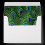 Emerald Green Royal Blue Peacock Feathers Wedding Envelope