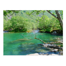 Emerald Peace Postcard