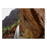 Emerald Pool Falls Card
