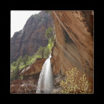 Emerald Pool Falls Magnet