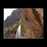 Emerald Pool Falls Postcard