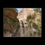 Emerald Pool Falls Postcard