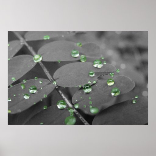 Emerald Rain Drops Print