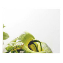 Emerald tree boa memo pads