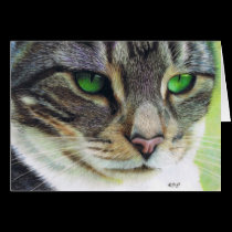 EmeraldEyes Gift card cards