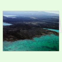 Emerauld  Waters cards