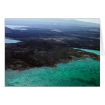 Emerauld Waters cards by CrisIsaac Emerauld Waters cards