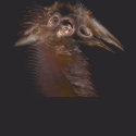 Emergence (Bird Series) shirt