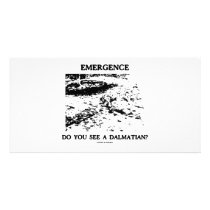 Emergence Do You See A Dalmatian? Photo Cards