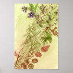 Emergence of Spring Print