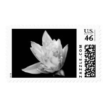 Emergence Postage