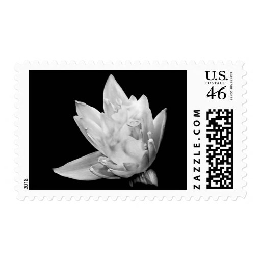Emergence Postage
