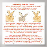 Emergency Facts for Flemish Giant Rabbits Print