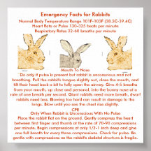 Emergency Facts for Flemish Giant Rabbits Print