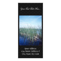 Emergent vegetation - bulrush rack cards