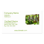 Emerging from Cocoons Business Card